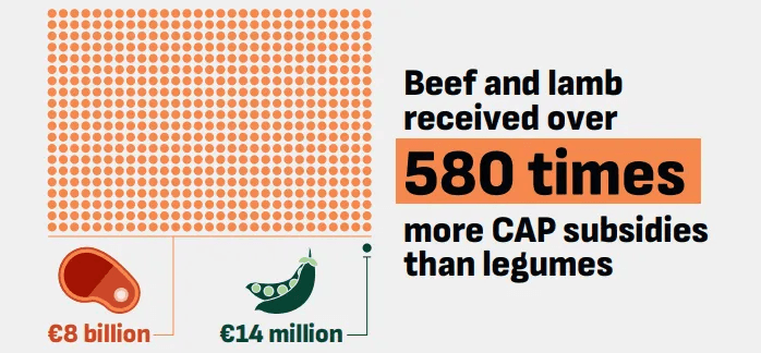 Source: FoodRise. Note: Volume of EU CAP subsidies going to beef and lamb vs. legumes in 2020 (euros), on a consumption basis