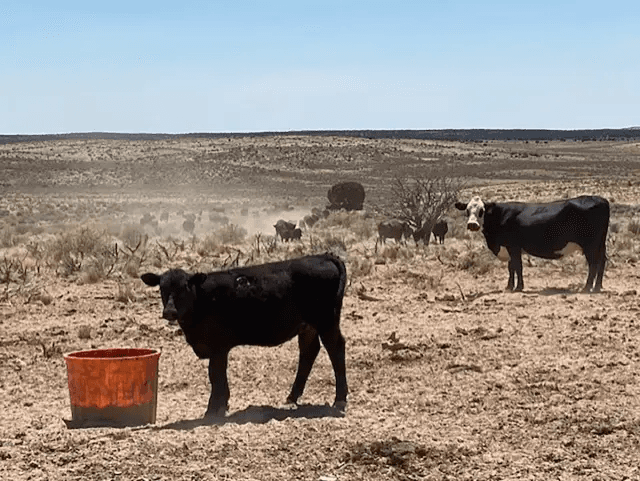 Photo Credit: Stephanie Elam/CNN