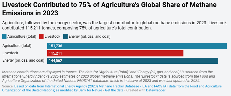 Graph comparing the contribution to methane emissions of total agriculture, livestock production and fossil fuels.