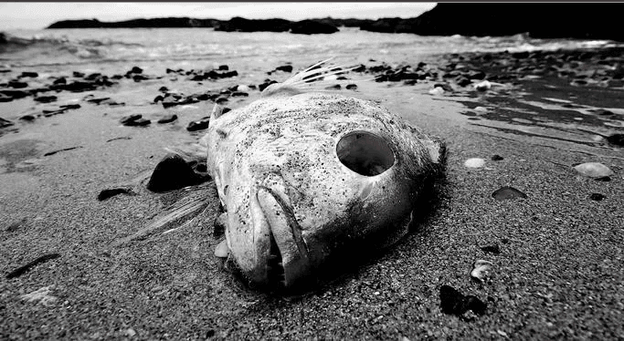 Photo Credit: National Resource Defense Council