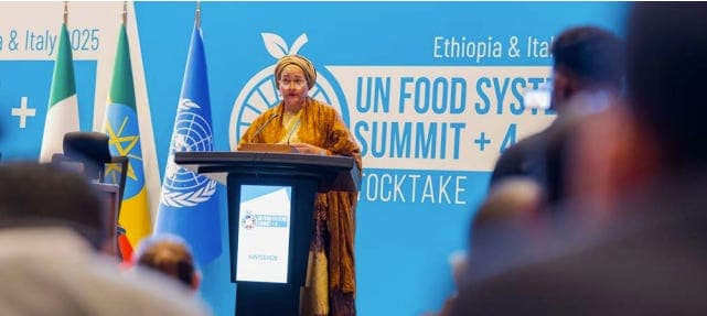 Source: UN Food Systems Coordination Hub